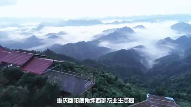 視(shì)頻(pín)标題 視(shì)頻(pín)标題